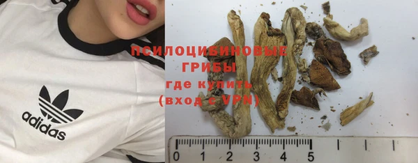 mix Абаза