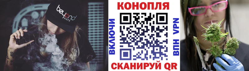 Конопля сатива  Карабаш 